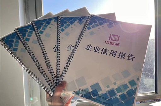 2023年基礎(chǔ)版企業(yè)信用報(bào)告